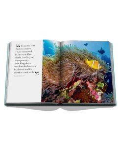 Online Boek Saudi Arabia: Red Sea Diversen Lifestyle Lifestyle