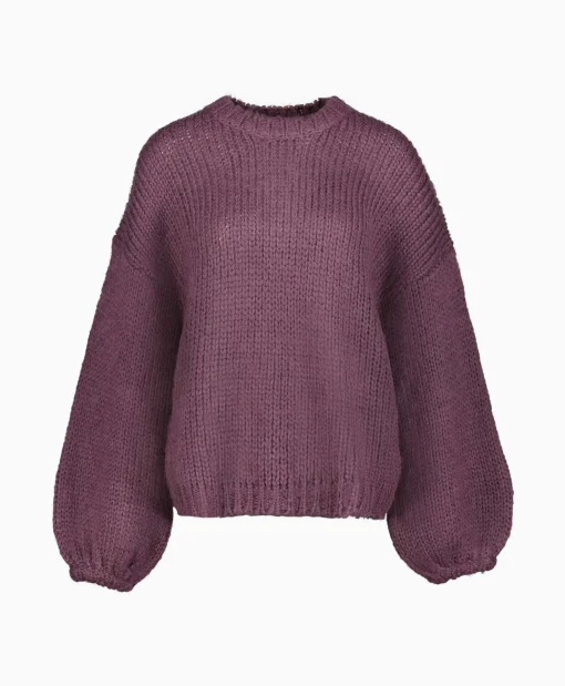 Best Sale Pullover 233-1670-23379 Paars Dames Truien