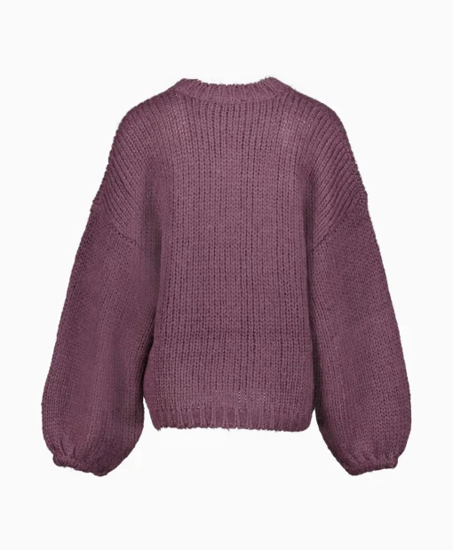 Best Sale Pullover 233-1670-23379 Paars Dames Truien