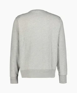 Best Sale Sweater Paint Bear Grijs Heren Truien